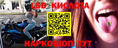 PSILOCYBIN Беслан