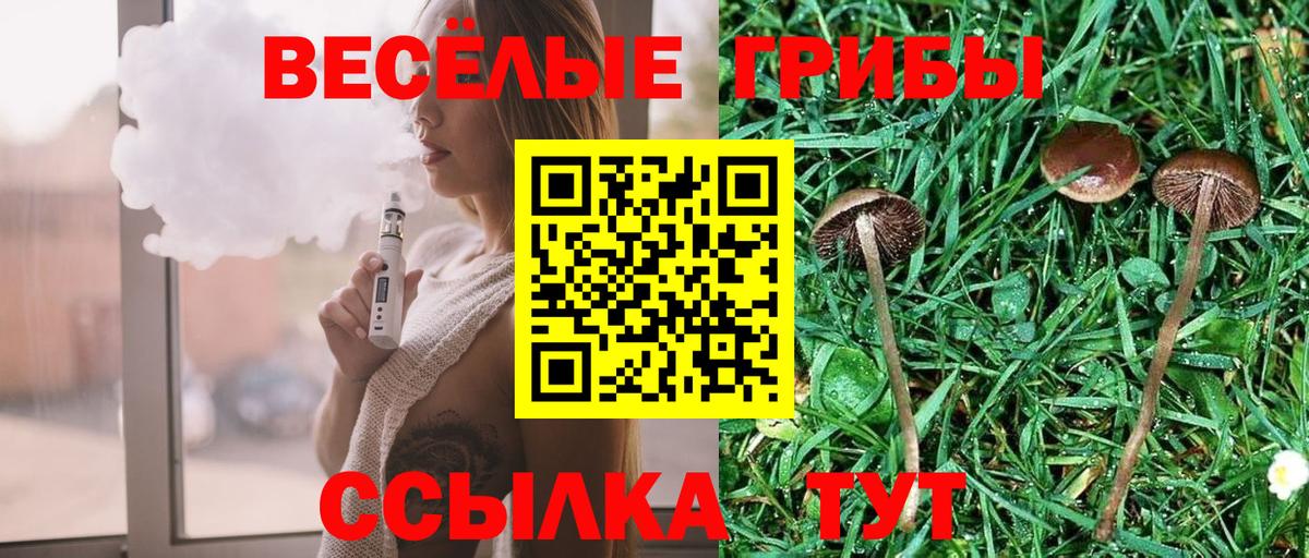 Пугачёв  Галлюциногенные грибы Magic Shrooms  Вход с VPN 