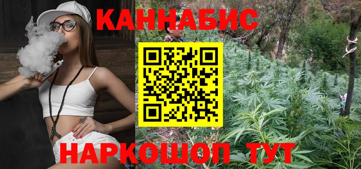 Бошки Шишки планчик  Вход с VPN  Пугачёв  Каннабис VHQ  Марихуана MAZAR 